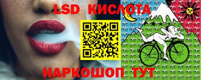 стафф Аргун