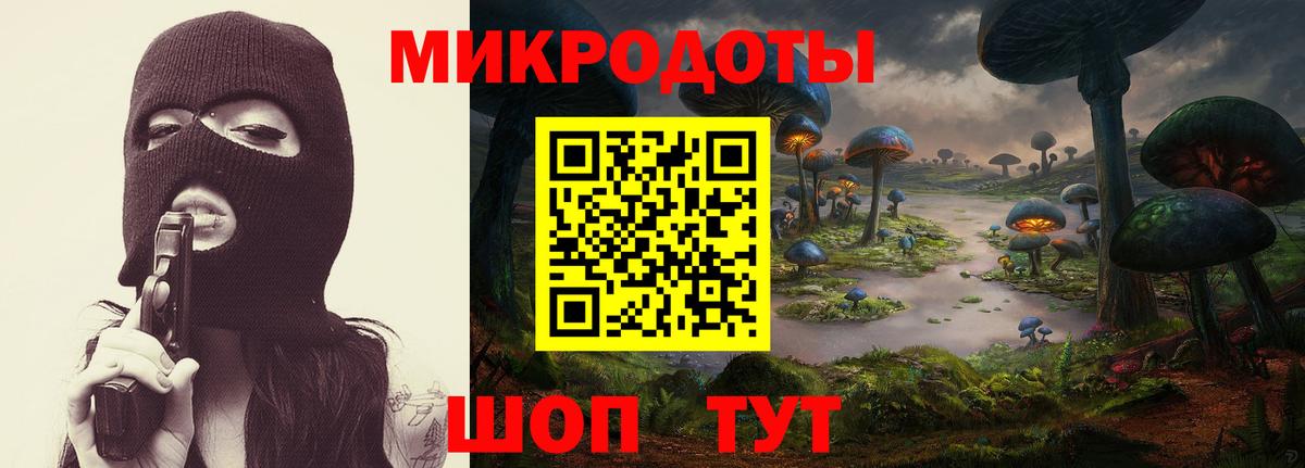 Воркута  Галлюциногенные грибы мухоморы  Псилоцибиновые грибы Psilocybe  Вход с VPN 
